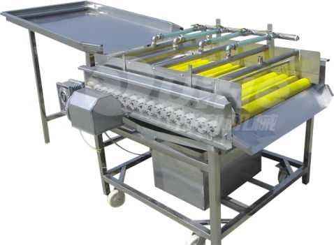 诸城瑞和食品机械 高效红薯清洗设备引领行业标准